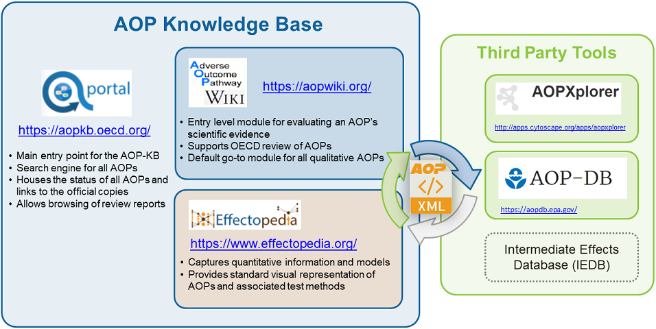 AOP-KB diagram